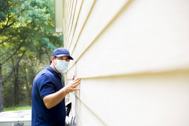 Best Custom Siding Design  in Farmville, NC